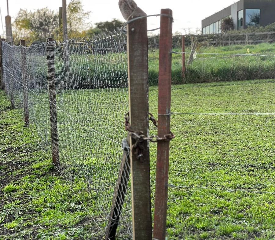 Terreno a la venta en Sierra De Los Padres