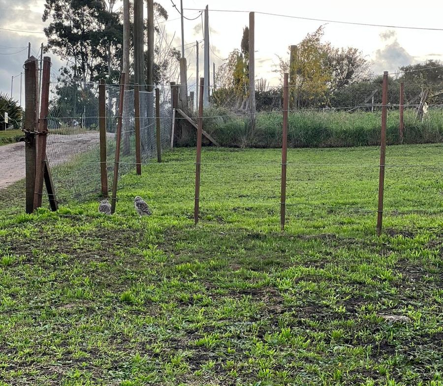 Terreno a la venta en Sierra De Los Padres